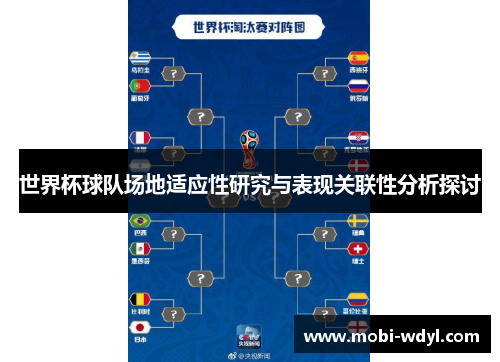 世界杯球队场地适应性研究与表现关联性分析探讨