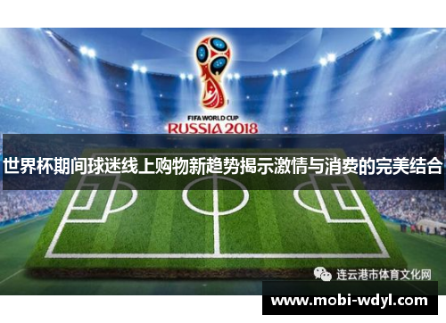 世界杯期间球迷线上购物新趋势揭示激情与消费的完美结合