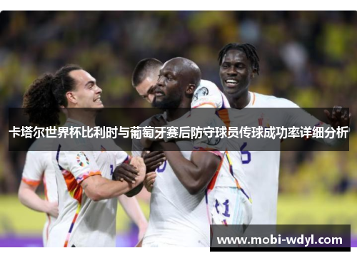 卡塔尔世界杯比利时与葡萄牙赛后防守球员传球成功率详细分析
