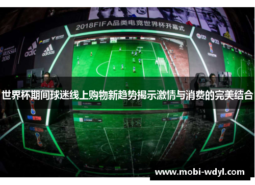世界杯期间球迷线上购物新趋势揭示激情与消费的完美结合