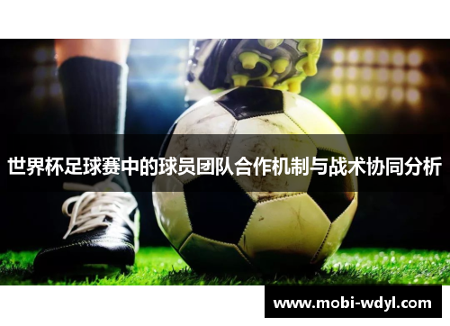 世界杯足球赛中的球员团队合作机制与战术协同分析