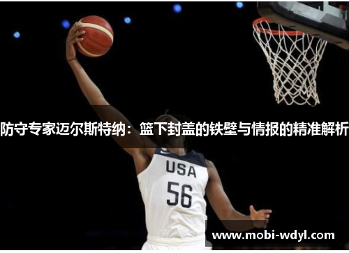 防守专家迈尔斯特纳：篮下封盖的铁壁与情报的精准解析