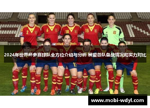 2024年世界杯参赛球队全方位介绍与分析 展望各队备战情况和实力对比