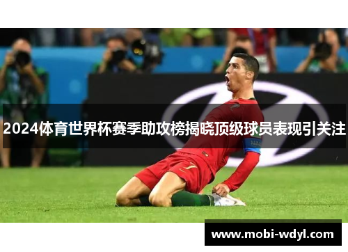 2024体育世界杯赛季助攻榜揭晓顶级球员表现引关注