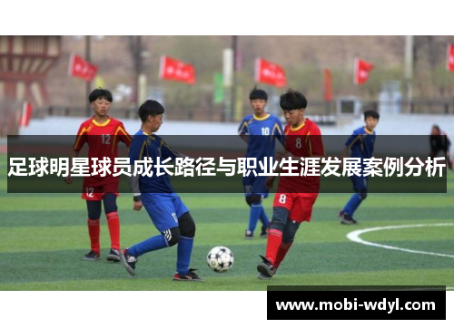 足球明星球员成长路径与职业生涯发展案例分析