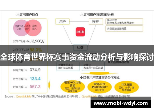 全球体育世界杯赛事资金流动分析与影响探讨