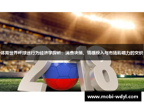 体育世界杯球迷行为经济学探析：消费决策、情感投入与市场影响力的交织