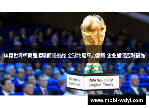体育世界杯商品运输面临挑战 全球物流压力激增 企业加速应对措施