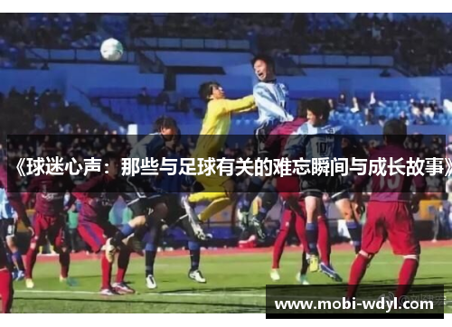 《球迷心声：那些与足球有关的难忘瞬间与成长故事》