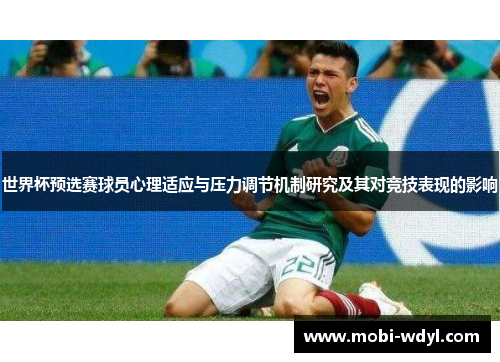世界杯预选赛球员心理适应与压力调节机制研究及其对竞技表现的影响