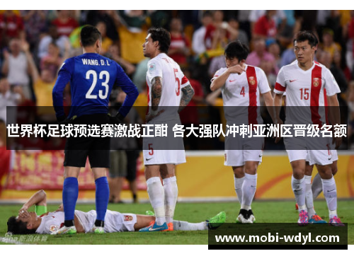 世界杯足球预选赛激战正酣 各大强队冲刺亚洲区晋级名额