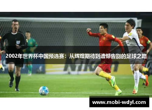 2002年世界杯中国预选赛：从辉煌期待到遗憾告别的足球之路