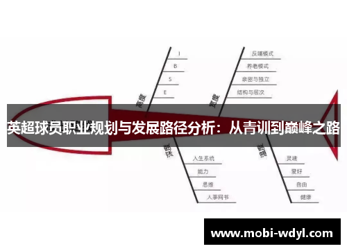 英超球员职业规划与发展路径分析：从青训到巅峰之路