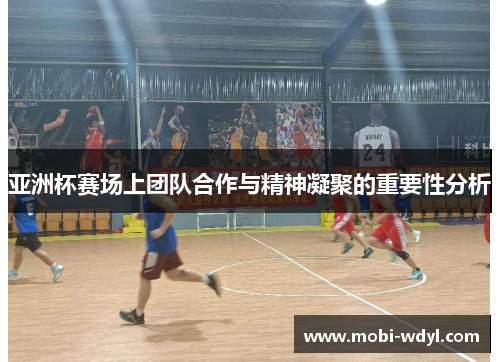 亚洲杯赛场上团队合作与精神凝聚的重要性分析
