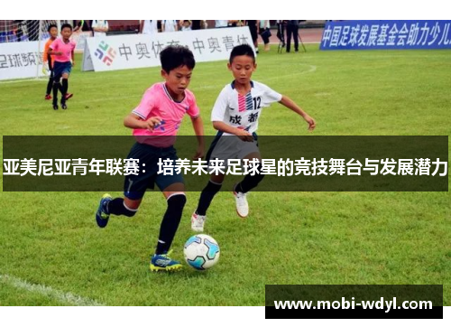 亚美尼亚青年联赛：培养未来足球星的竞技舞台与发展潜力