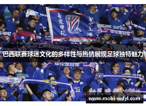 巴西联赛球迷文化的多样性与热情展现足球独特魅力
