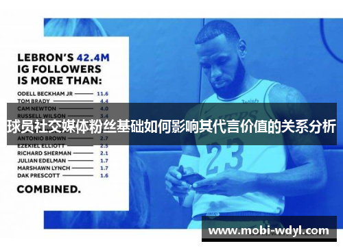 球员社交媒体粉丝基础如何影响其代言价值的关系分析