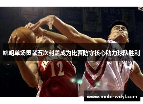 姚明单场贡献五次封盖成为比赛防守核心助力球队胜利
