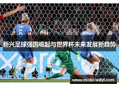 新兴足球强国崛起与世界杯未来发展新趋势