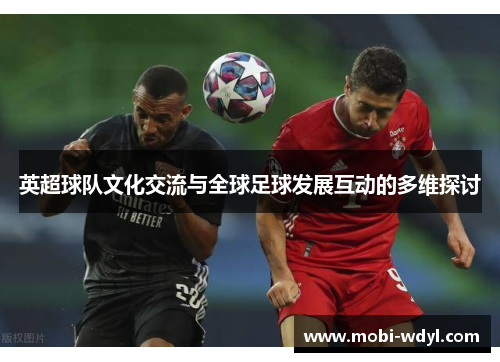 英超球队文化交流与全球足球发展互动的多维探讨