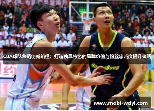 CBA球队营销创新路径：打造独具特色的品牌价值与粉丝忠诚度提升策略