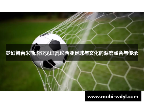 梦幻舞台米斯塔亚见证瓦伦西亚足球与文化的深度融合与传承
