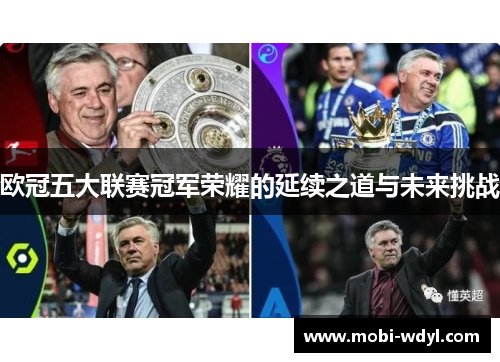 欧冠五大联赛冠军荣耀的延续之道与未来挑战