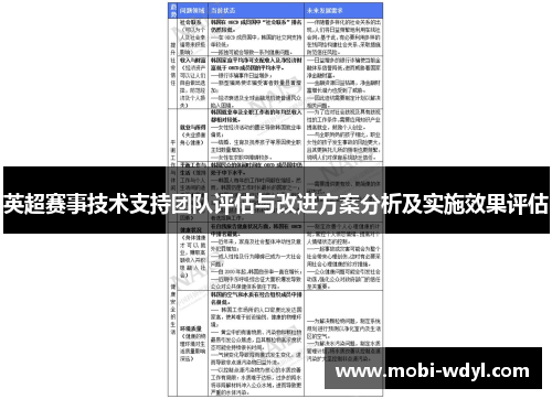 英超赛事技术支持团队评估与改进方案分析及实施效果评估