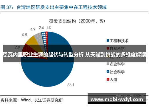 恩瓦内里职业生涯的起伏与转型分析 从天赋到挑战的多维度解读