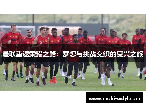 曼联重返荣耀之路：梦想与挑战交织的复兴之旅