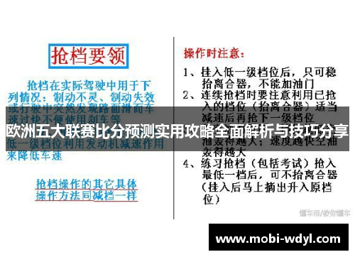 欧洲五大联赛比分预测实用攻略全面解析与技巧分享