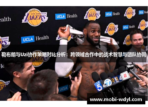 勒布朗与Uzi协作策略对比分析:跨领域合作中的战术智慧与团队协同