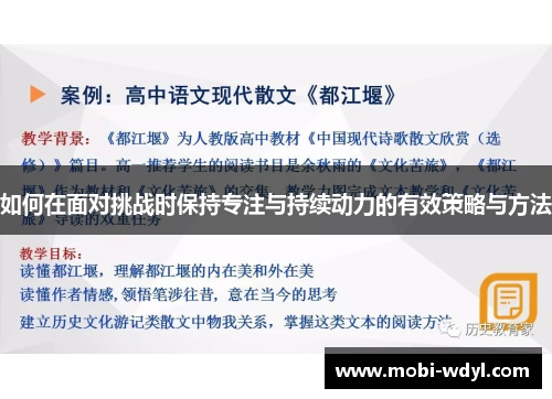 如何在面对挑战时保持专注与持续动力的有效策略与方法