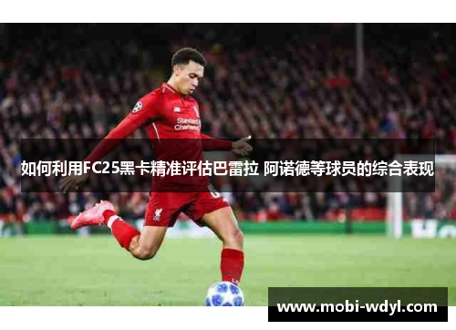 如何利用FC25黑卡精准评估巴雷拉 阿诺德等球员的综合表现