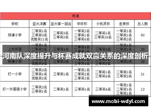 河南队深度提升与杯赛成就双赢关系的深度剖析