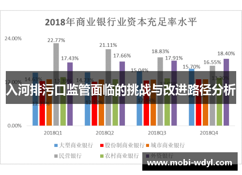 入河排污口监管面临的挑战与改进路径分析