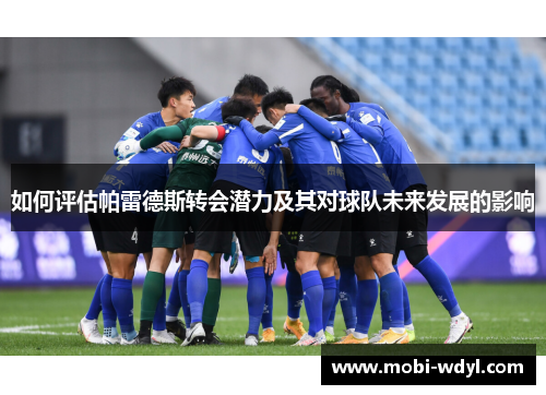 如何评估帕雷德斯转会潜力及其对球队未来发展的影响