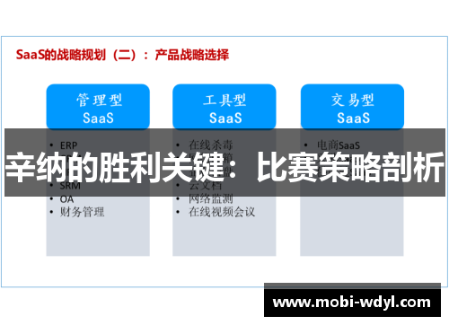 辛纳的胜利关键：比赛策略剖析
