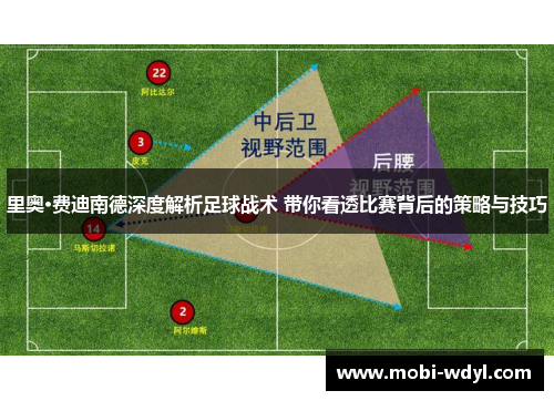 里奥·费迪南德深度解析足球战术 带你看透比赛背后的策略与技巧