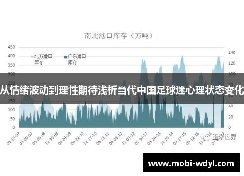 从情绪波动到理性期待浅析当代中国足球迷心理状态变化