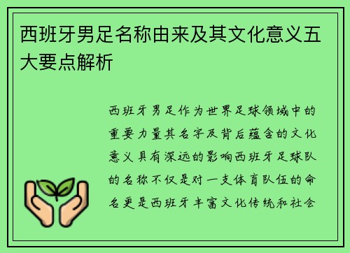 西班牙男足名称由来及其文化意义五大要点解析